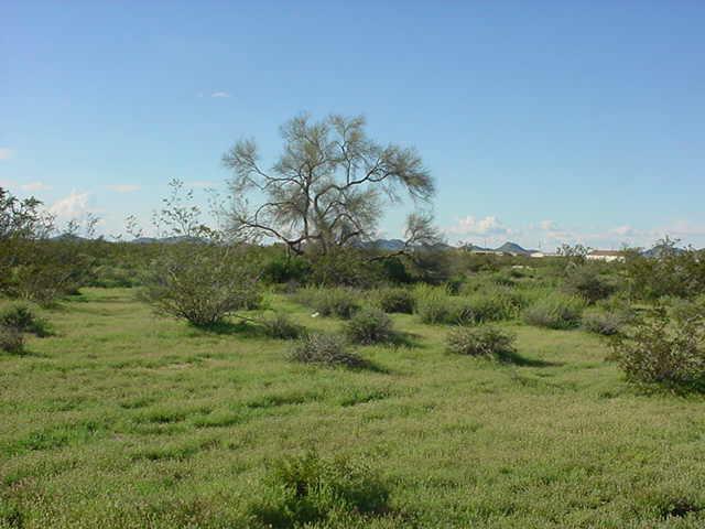 N Ruby Rd., Maricopa, AZ 85239