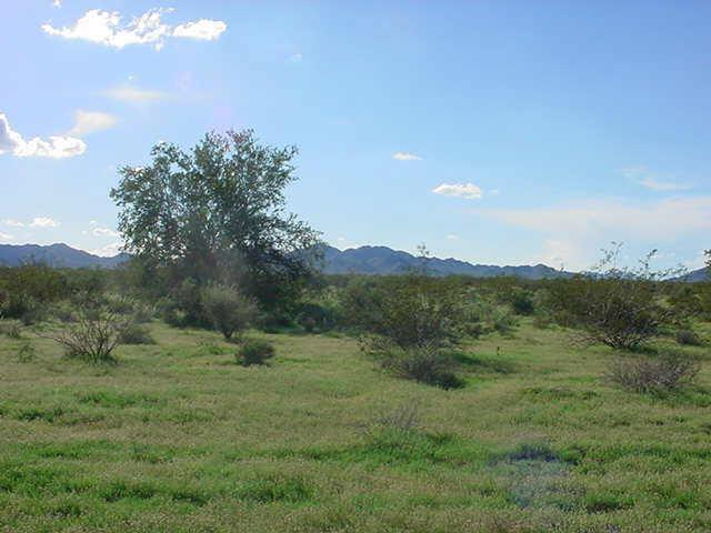 N Ruby Rd., Maricopa, AZ 85239