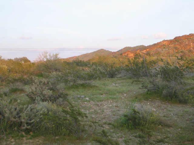 8846 S 22 St., Phoenix, AZ 85042