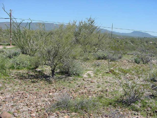 395 N Coyote Pass Lot 5 Rd. #5, New River, AZ 85087