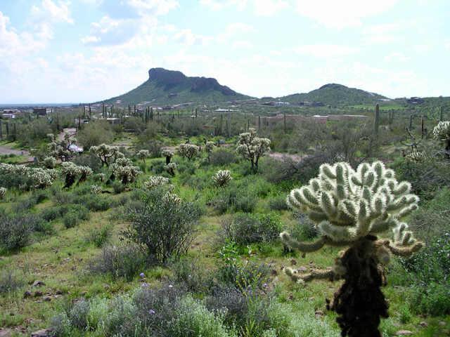 E Yaqui Ln. #4, Gold Canyon, AZ 85218