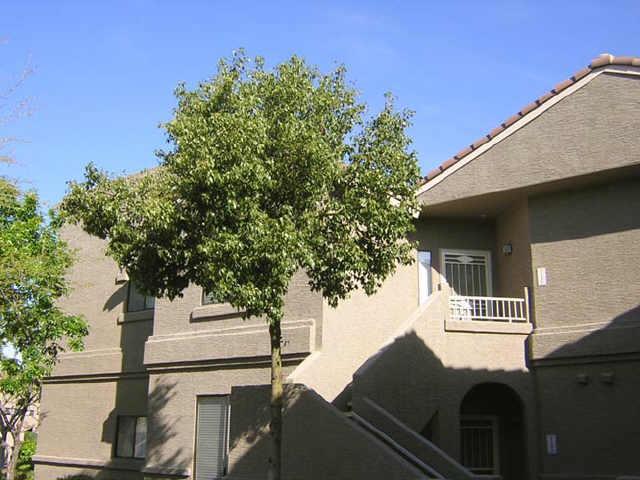 15252 N 100th St. #2157, Scottsdale, AZ 85260