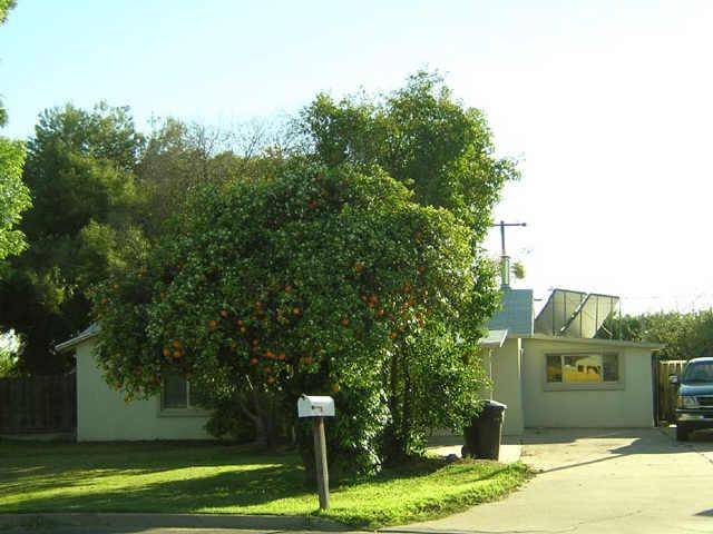 306 N Henkel Ln., Mesa, AZ 85201