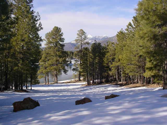 111 N Skyview St., Flagstaff, AZ 86004