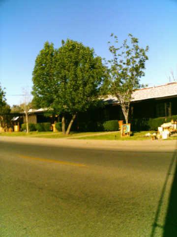 7229 N 55th Ave., Glendale, AZ 85308