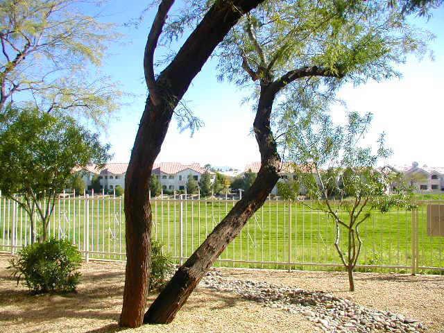 10401 N 52nd St. #116, Scottsdale, AZ 85253