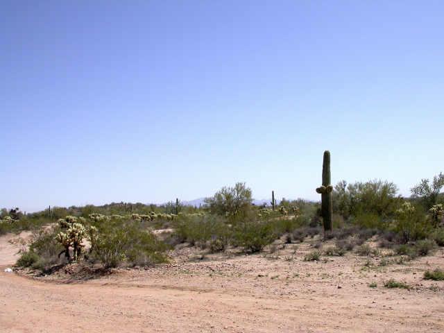 33815 W Cloud Rd. #1-256, Wickenburg, AZ 85390