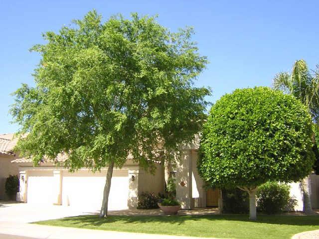 610 W Stanford Ave., Gilbert, AZ 85233