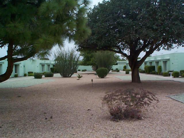 10550 W Palmeras Dr., Sun City, AZ 85373