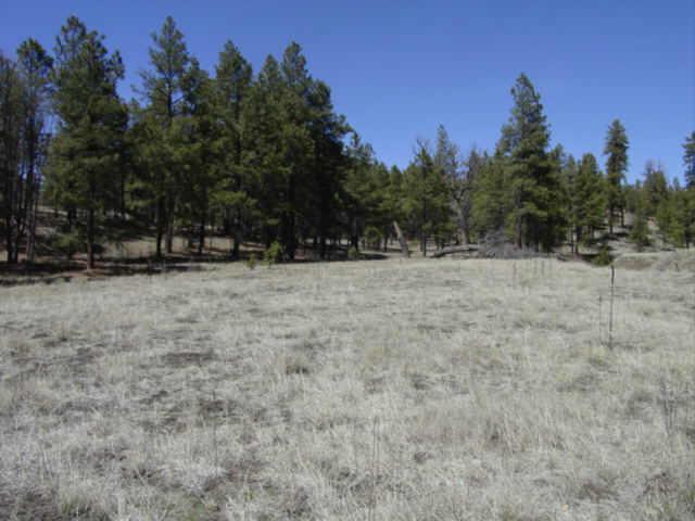 1 N Pace Creek #1 d, Alpine, AZ 85920