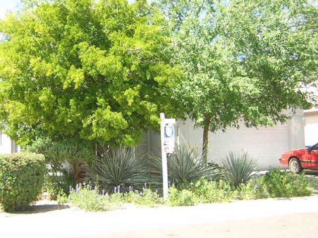 18646 N 2nd Ave., Phoenix, AZ 85027