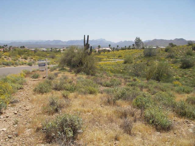 12034 N Arroyo Vista Dr. #11, Fountain Hills, AZ 85268