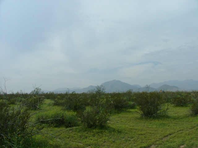 19900 W Edgemont Ave. #4, Buckeye, AZ 85326