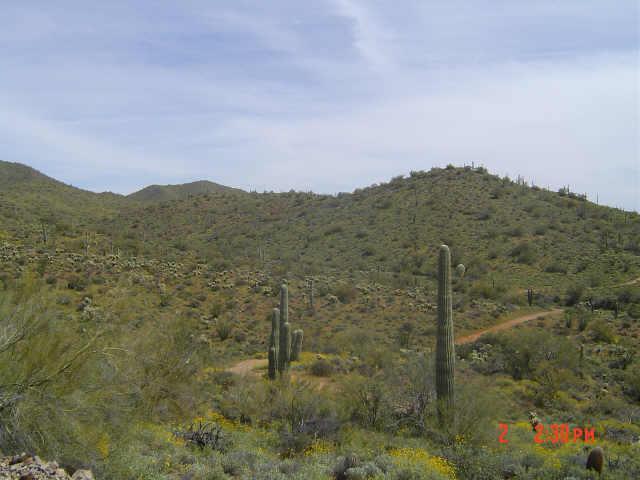 2 N 7 St., New River, AZ 85087