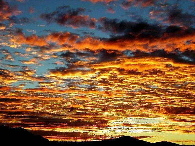 29000 N 153rd St. #4, Scottsdale, AZ 85262