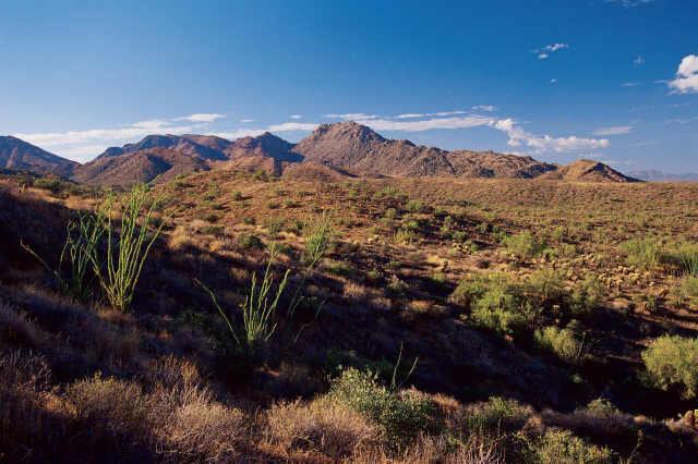 14510 E Desert Tortoise Ter. #27, Fountain Hills, AZ 85268