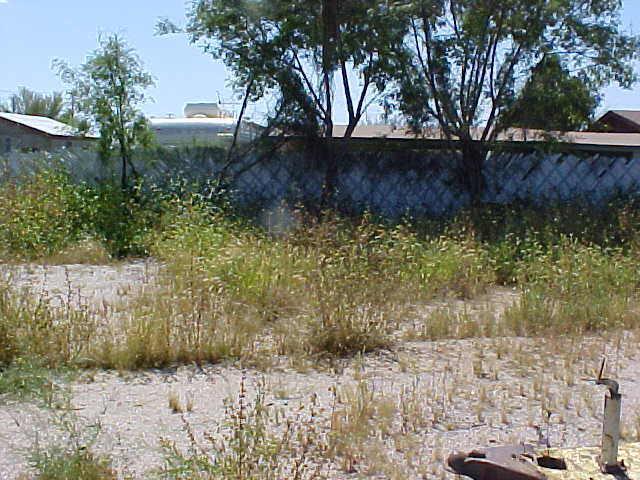 202 N Crismon Rd., Mesa, AZ 85207