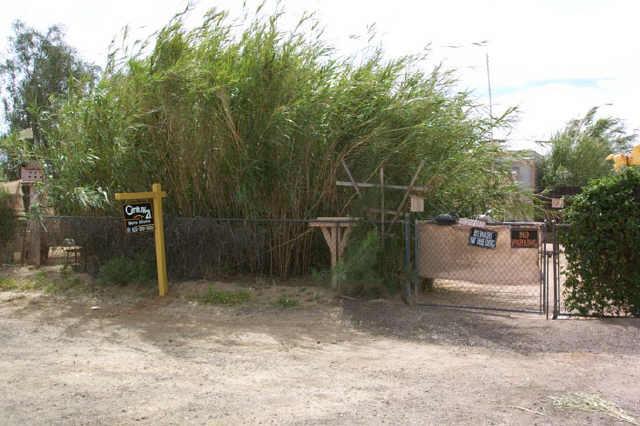 1289 W Teepe St., Apache Junction, AZ 85220