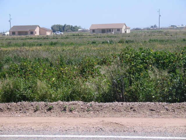 5 W Rainbow / Mc85 Rd. #A5, Buckeye, AZ 85326