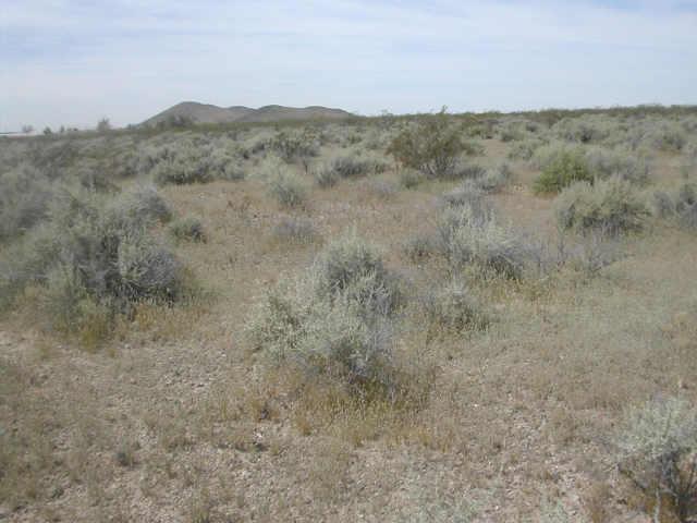 36600 S Durango St. #UNK, Tonopah, AZ 85354