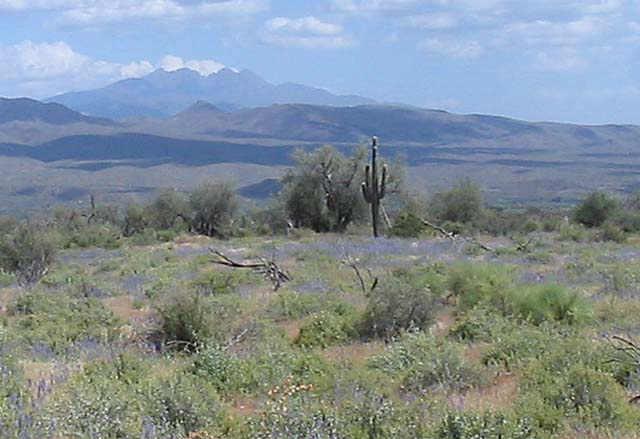 30100 N 170th Lot 1 St. #1, Rio Verde, AZ 85263