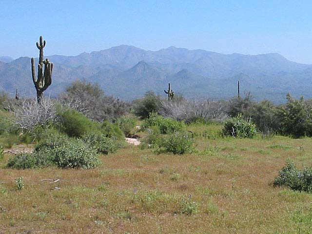 30100 N 170th Lot 3 St. #1, Rio Verde, AZ 85263