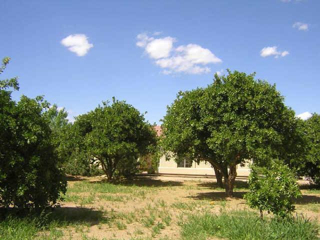 17232 E Flintlock Dr., Queen Creek, AZ 85242