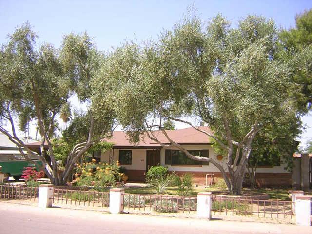 440 N Cheri Lynn Dr., Chandler, AZ 85225