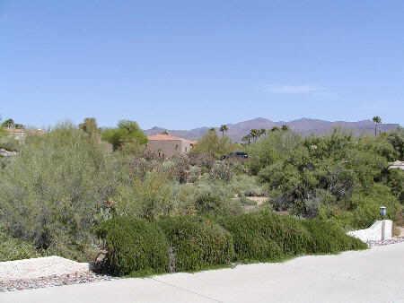 25448 N Condor Ct. #624, Rio Verde, AZ 85263