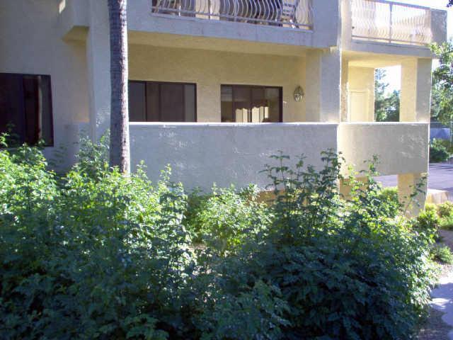 19400 N Westbrook Pkwy. #115, Peoria, AZ 85382