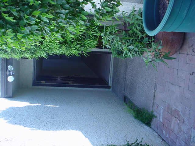 7 E Manzanita Dr., Phoenix, AZ 85020