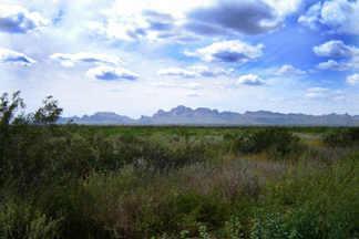 52500 W Thomas Rd. #46, Tonopah, AZ 85354