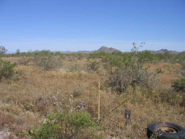 8000 N 403rd Ave. #5, Tonopah, AZ 85354