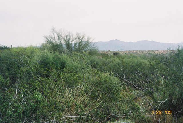 16 N 331st Ave. #1, Tonopah, AZ 85354