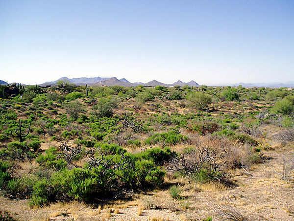 10450 E Celestial Dr. #372, Scottsdale, AZ 85262