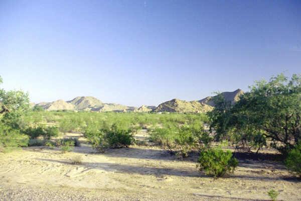 11336 W Calle Con Queso #5A, Casa Grande, AZ 85222