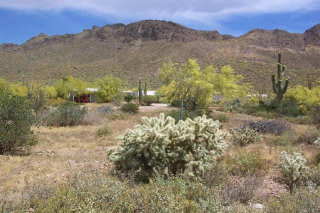 1900 W Saddlebutte St., Apache Junction, AZ 85220