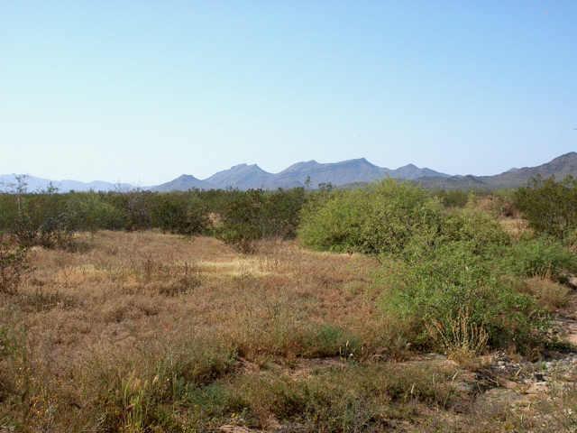 N Forepaugh Peak Rd., Wickenburg, AZ 85390