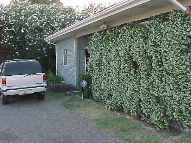 7939 E 6th Ave., Mesa, AZ 85208