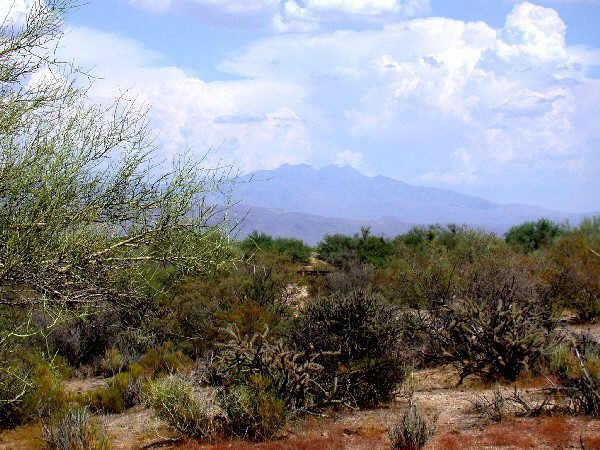 N 144th St. #3, Unincorporated County, AZ 85262