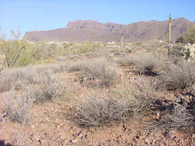 S Blackhawk Rd. #B3, Gold Canyon, AZ 85218