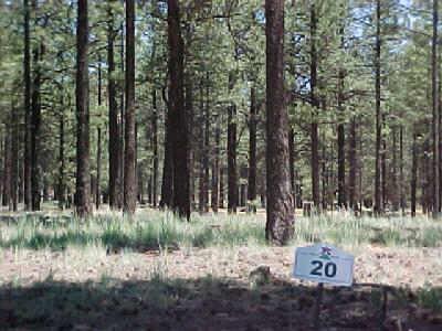 20 N Flagstaff Ranch St., Flagstaff, AZ 86001