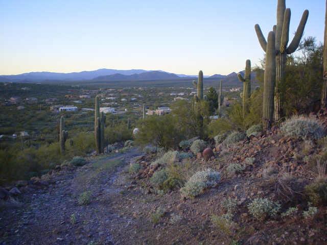 44415 N 22 St., New River, AZ 85087