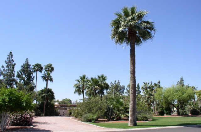 101 E Bird Ln., Litchfield Park, AZ 85340