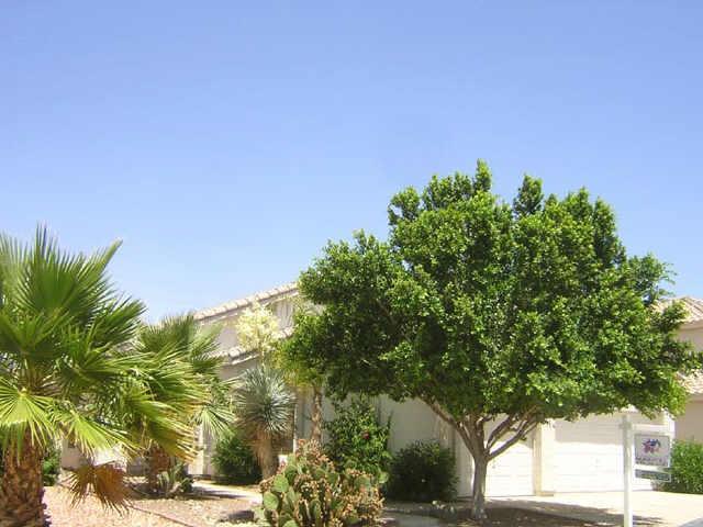 2620 W Megan St., Chandler, AZ 85224