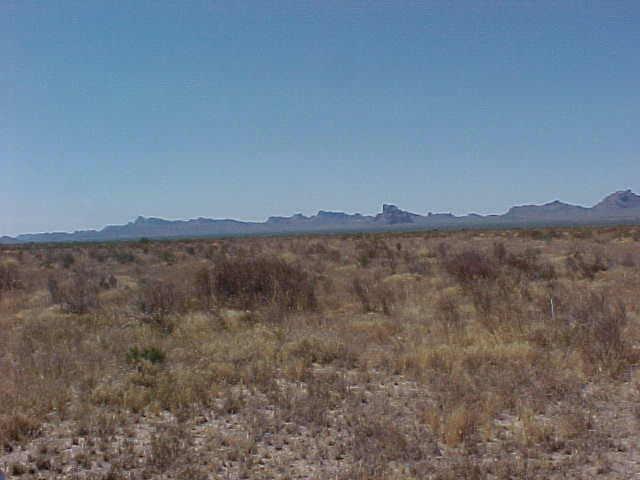 54700 W Thomas Rd. #66, Tonopah, AZ 85354