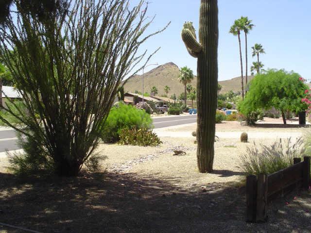 3016 E Vista Dr., Phoenix, AZ 85032