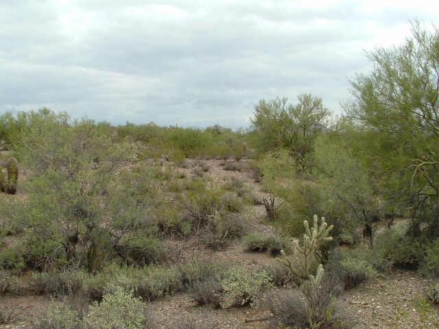 367 W Earll Dr., Tonopah, AZ 85354