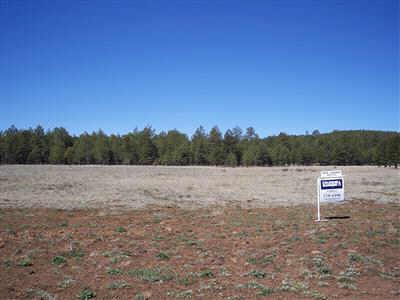 7101 N Hardians Walk St. #47, Flagstaff, AZ 86001