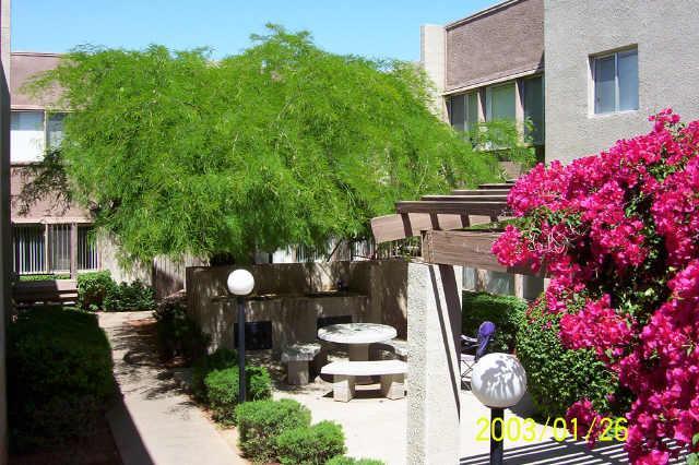 1808 N 32nd St. #103, Phoenix, AZ 85008
